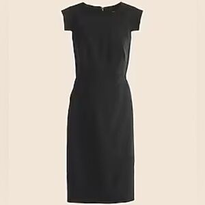 J.Crew Resume Dress